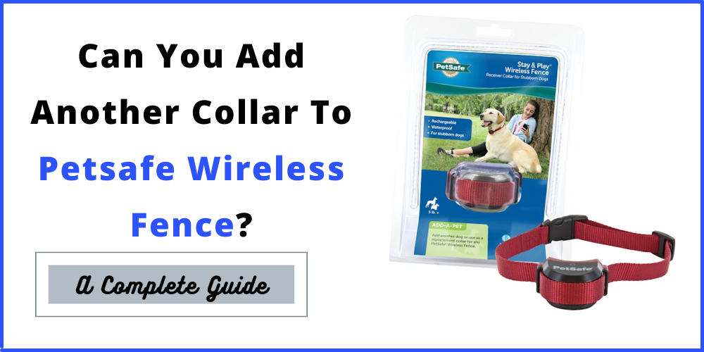 How To Add A Second Collar To Petsafe Wireless
